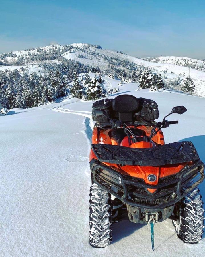 Vila Planinsko Blago Kopaonik Luaran gambar